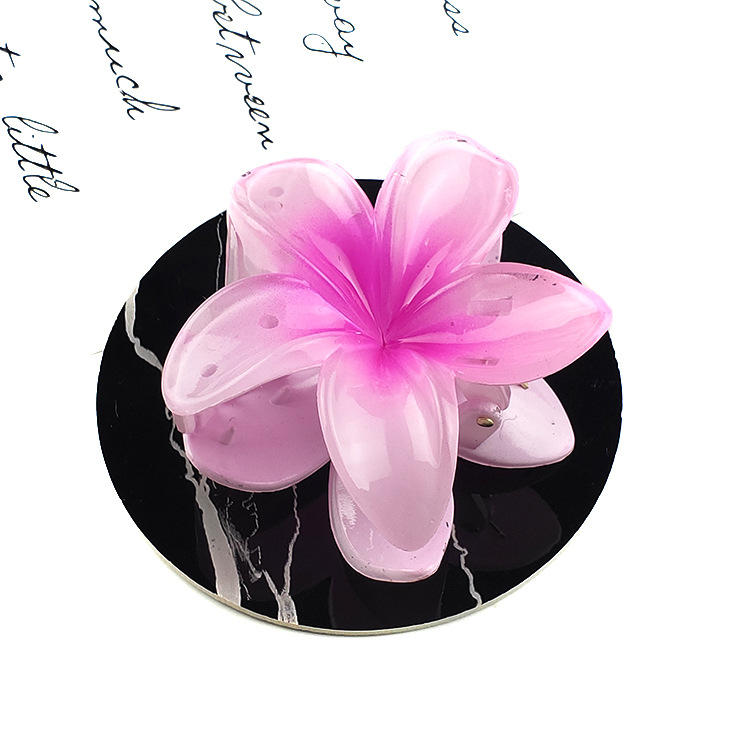 Fairy Style Flower Synthetic Resin Stoving Varnish Hair Claws display picture 4
