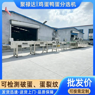 不锈钢鸡鸭蛋分选机禽蛋合作社鲜蛋重量筛选机连续式蛋品分级装置