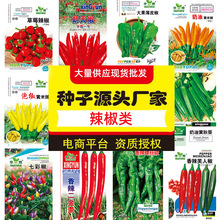 �N�����������Ƥ��ţ�ǽ����_�S�ײʽ����Ͻ���������ȫһ�����l