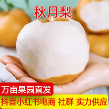 �a��ֱ�l��������������rˮ��Ƥ�������֭���Sˮ��һ�����l