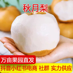 �a��ֱ�l��������������rˮ��Ƥ�������֭���Sˮ��һ�����l