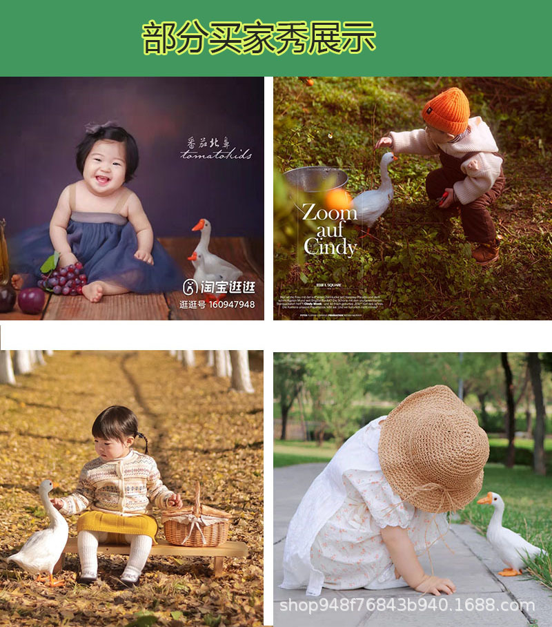 白鹅1.jpg