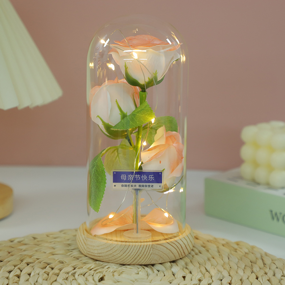 Fábrica al por mayor Flor eterna Cubierta de vidrio Clavel Caja de regalo Flor simulada Decoración de escritorio Día de la madre Regalo para mamá