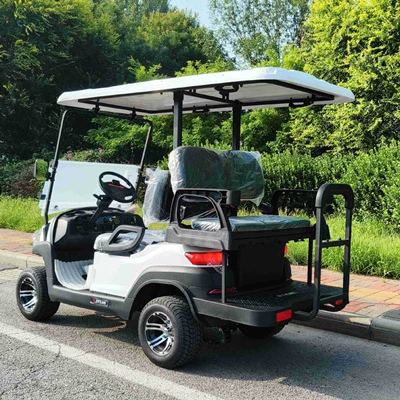Zhongfeiyida Golf Cart New Elektrikli qolf avtomobilləri