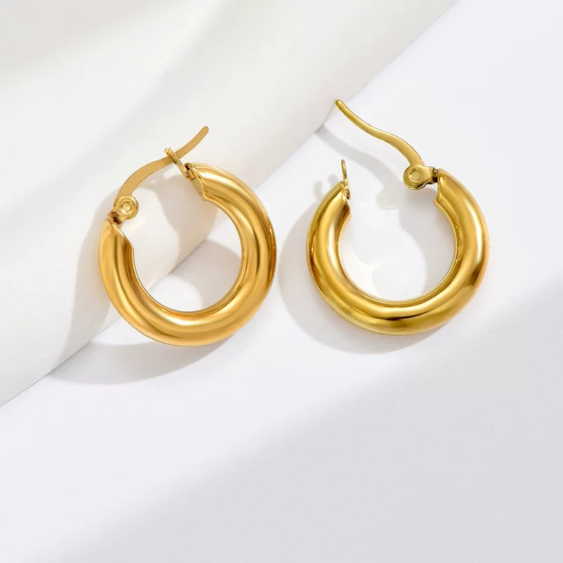 Fashionable high quality brand sophisticated universal earrings stainless steel