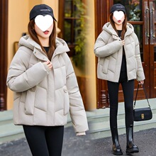 ��q���r�ж̿��޷�2025�¿����ů�n��Ӻ񱬿�����\����