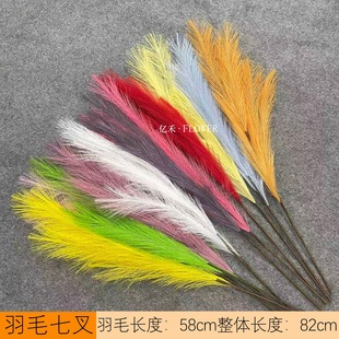 �߲���ë�Pβ��ȸ�ݻ�c���滨���l��cë��·���b���ë