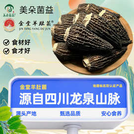 四川金堂地理标志羊肚菌六妹无柄头茬干货散货菌菇煲汤食材干菌菇