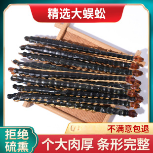 �����؛���10�l�����t�^��������l���Ɏ�����ϐ�Ӹ�ˮ�θ�