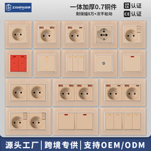 ٝ�����Q�羳16A��ʽ����usb+type-c20W���PD�����_�P�������