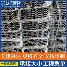 �Ƅ��T��܉���� 450/ 250�� ���I�T �}���T ��܉ ��݆