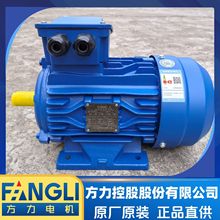 方力电机高效率三相380V电动机YE3-315S-6-75KW全铜线国标电机