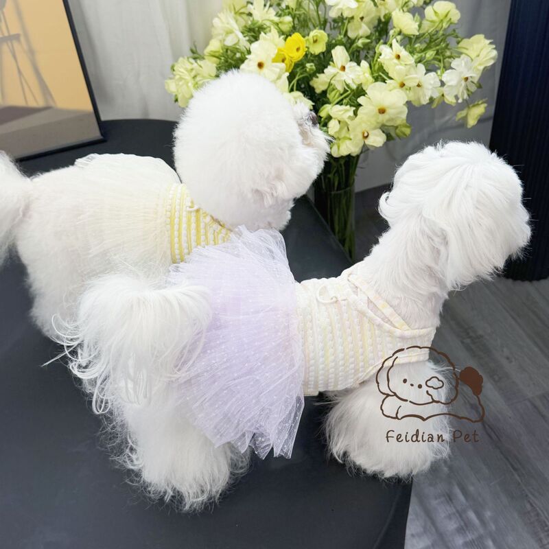 Spring and Summer New Pet D-Shaped Buckle Striped Lace Ballet Dress for Small Dogs and Cats, Bichon, Teddy, Cute and Breathable Dress