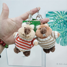 ���Ȟ��������H������ë�q����耳׿ے���ɐ۴���������ë�q���