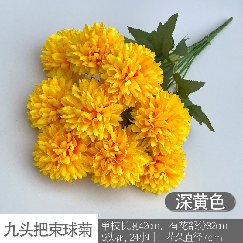 Nine -headed ball chrysanthemum dark yellow