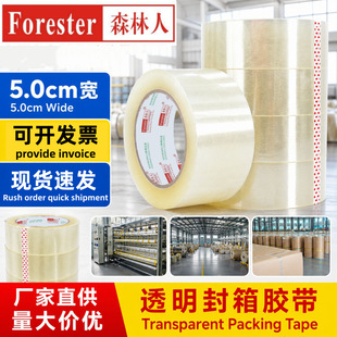 ɭ����͸�������z����ճ���f����z��5cm��100�L����z���b�z��