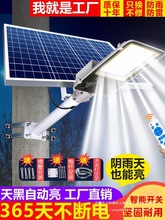 ܑ̫ͥԺ2025¿·rԺӳl