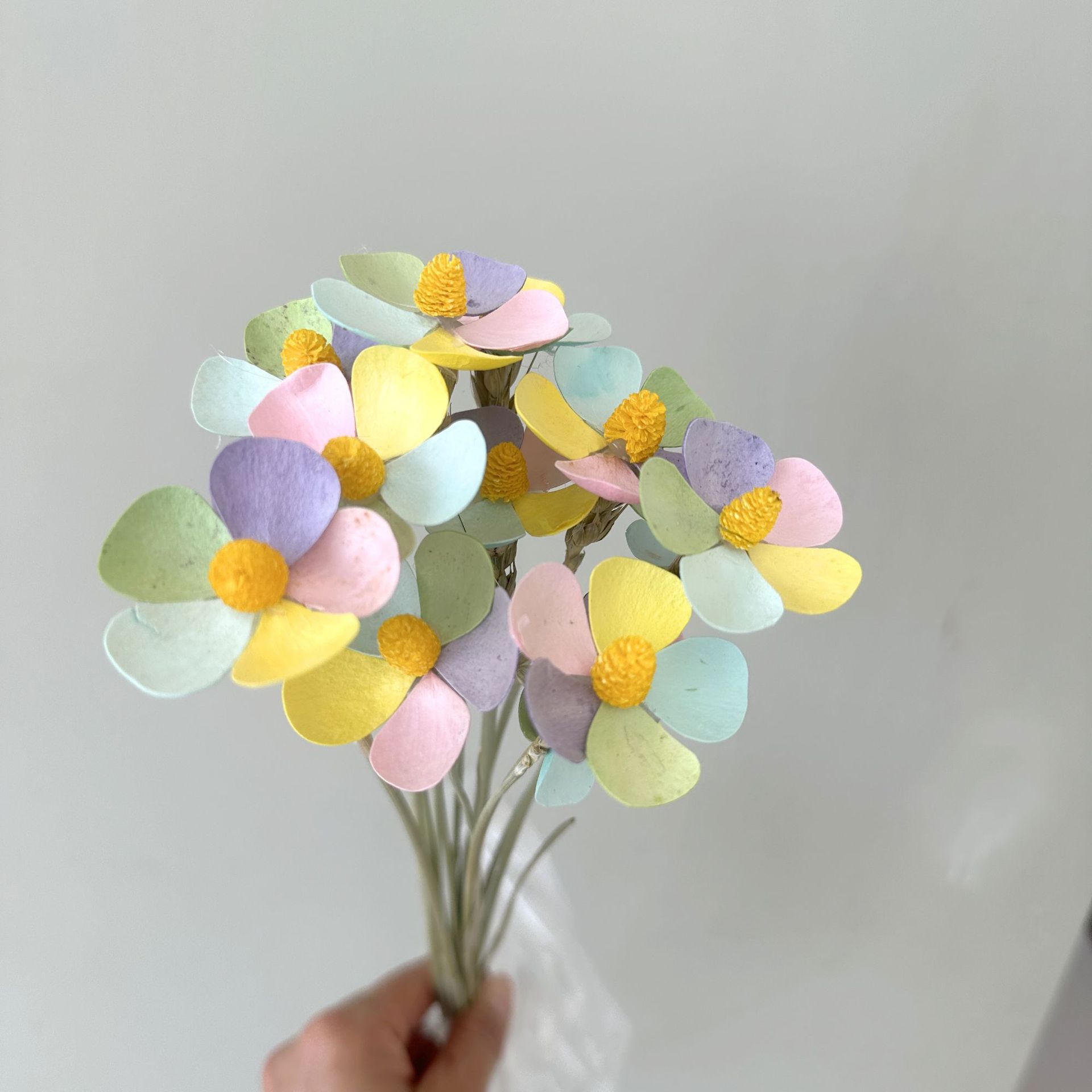 컬러 12개 스틱/팩