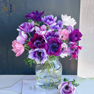 [Poppy, Anemone, Jasmine, Snow Willow, Small Handball] Flower Wholesale Kunming Fresh Cut