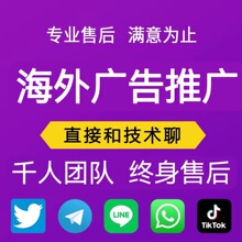 独立站广告投流 外贸独立站广告投放 外贸网站海外获客 电商获客