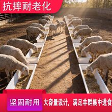 ��������l2��3���¿�ƽ��ţ�����С����a�ϲ�������ˮ���L����