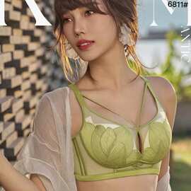 6811春夏新款桑蚕丝养护内衣无钢圈时尚镂空美胸带聚拢收副乳文胸