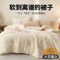 原綿A級大豆繊維布団、ジャカード織り良質布団、ジッパー付き親子布団、春秋用布団芯、厚手冬用布団