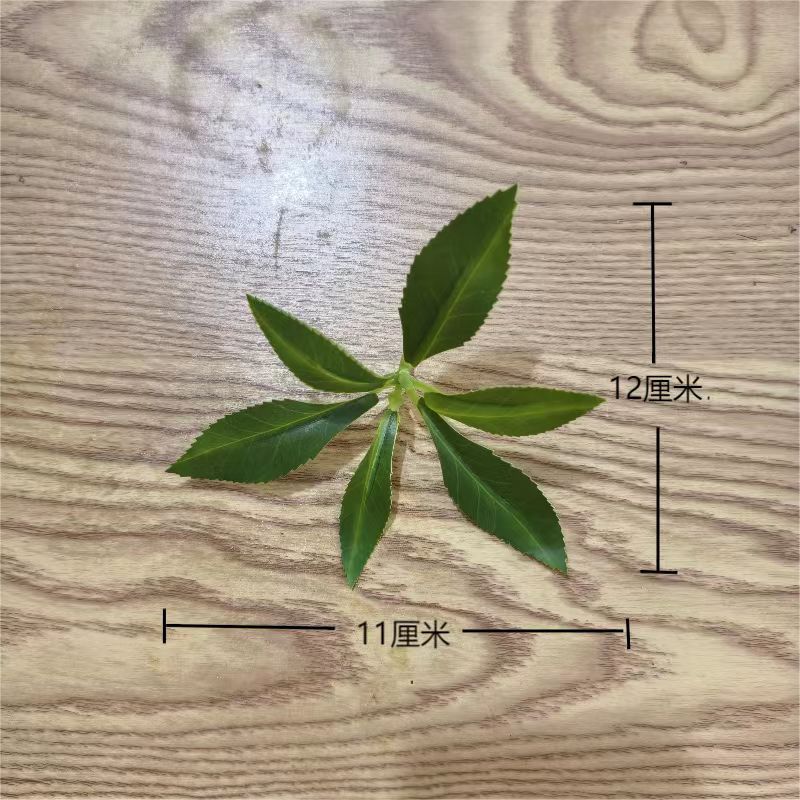 微信图片_20250912134721_284_3