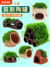 Ī˹�չ�ˮ���~���쾰��ֲ���ܹ��r��С�[����ֳ����ݵײ�ˮ�|