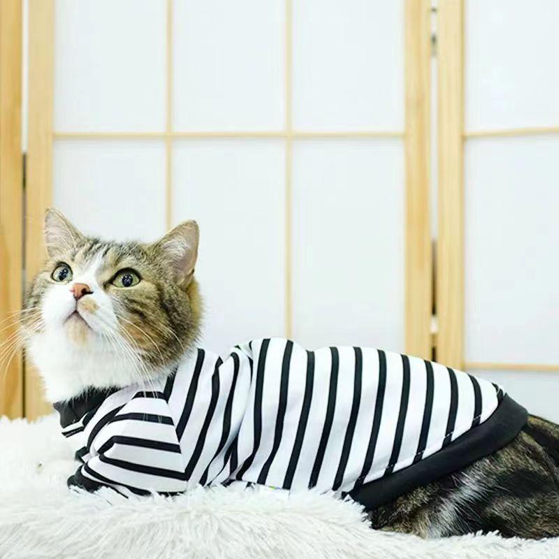 Ropa de gato invierno y otoño anti-perderrimiento de pelo gatito gato azul gato pequeño gato invierno y otoño mascota primavera y otoño camisa sudadera