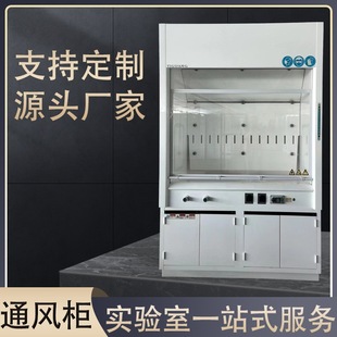 All-Steel Fume Hood Laboratory Physical Chemistry Pipeless Desktop Exhaust Hood All-Steel Fume Hood Pp Fume Hood