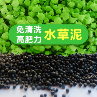 ˮ��������ɰ�[�������~�׵�ɰ����ˮ����I�B�Nֲ����ϴ䁸׵�ɰ