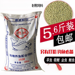 Tongwei Fish Feed Sinking Granules Fish Feed for Crucian Carp and Carp Fishing Nest Black Pit Grinding Powder