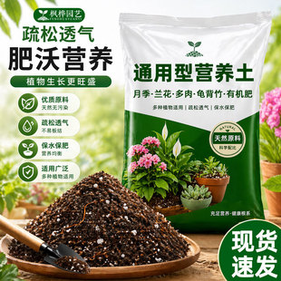 �I�B��ͨ���B���N��ֲ���ЙC���¼����m�������������ɽʯ�ЙC��