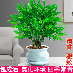 ˮ��������Ի��ܴ�ȫ���F��ˮ�Bֲ����ò��҃ȿ͏d�׻�Gֲ