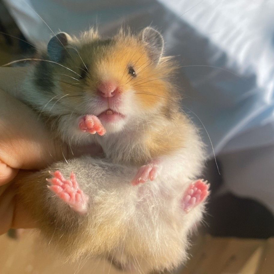 4d0281b1-2960-4a3a-88b0-b7b62dbc8138.jpe