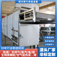 供应不锈钢食品烘干机 多层带式鸡精干燥机 面包屑干燥机厂家定制