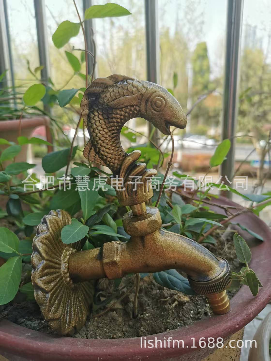 鱼1.jpg
