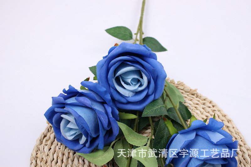 img_8138_副本.jpg