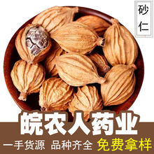砂仁500g砂仁香料卤料炖肉火锅料卤菜料中药材大全代发批发