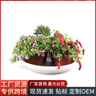 TELSLY�A�����ϻ����бP �Ӻ����Ø�֬���е׵� ��������ˮ�P