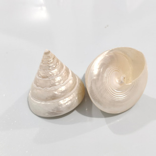 ��Ȼؐ�������y����ҹ�����������~���쾰����˱��ղؼҾ��b�