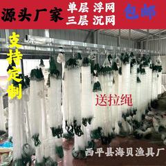 単層三層粘着網網網網網網網網網網網網網網網網網網網網網網網網網網網白条