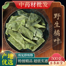 中药材特级野生橘叶正品新货金桔叶 橘子叶 桔叶 药用500克g泡茶