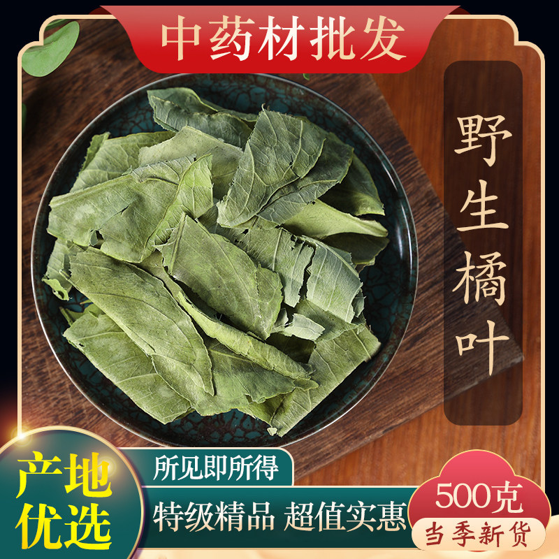 中药材特级野生橘叶正品新货金桔叶 橘子叶 桔叶 药用500克g泡茶