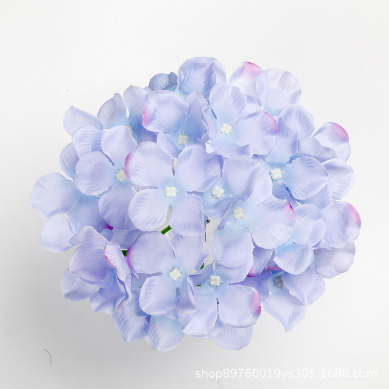 빨간색 가장자리 파란색