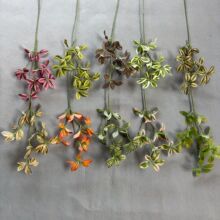 ɭϵ����ֲ��3���ͮ����m�Gֲ�������l���_ľ�Gֲ�b��~��ֲ�