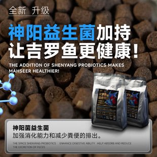 �Rӡ�Ų���ϼt�{���_�~�ߵ���ʳ�lɫ���G�����ꖼ��_�~����~�Z