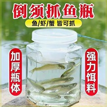 捕麦穗鱼鳑鲏工具倒须设计加厚加强玻璃瓶抓小鱼神器捕鱼笼捕虾笼