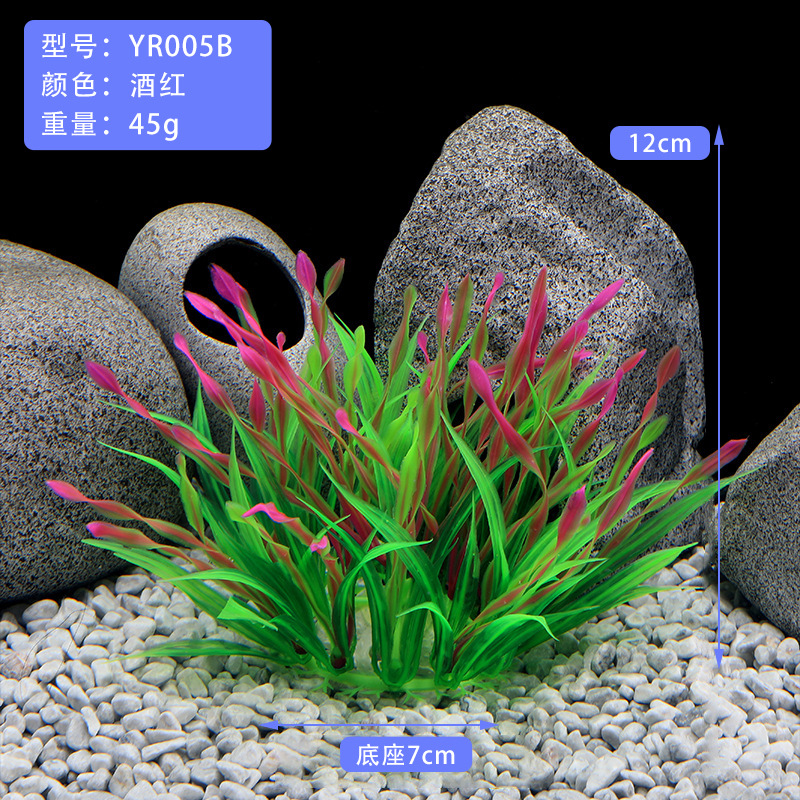 YR005B